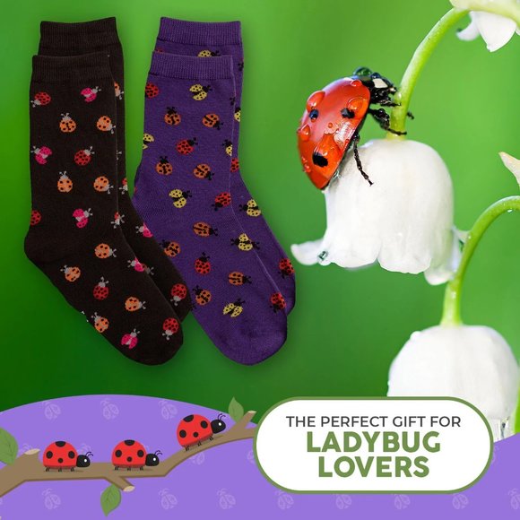 Ladybug Beetle Bug Ladybugs Insect Fly Aphids Luck Animal 2 Pairs Women's Socks - Picture 2 of 5